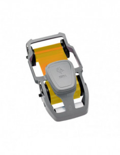 Ruban couleur GOLD ZC100,...