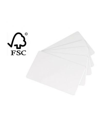 Lot de 500 cartes en papier Evolis C2501