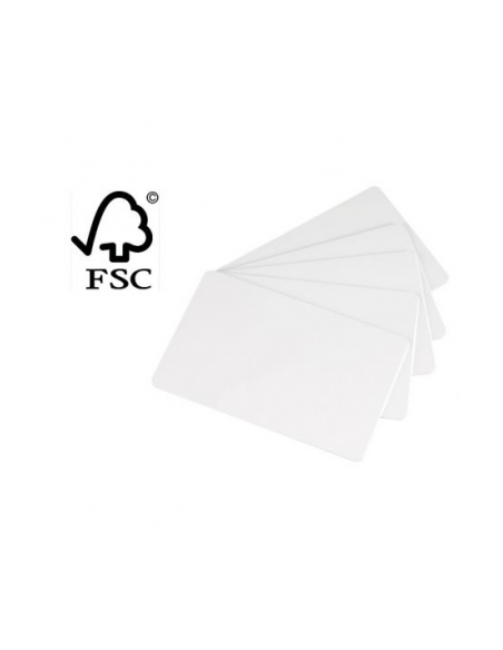 Lot de 100 cartes en papier Evolis C2511
