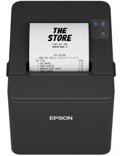 epson tmt20iv, tm-t20 4, tm-t20iv usb, tm t20, tmt20, tmt20, imprimante ticket de caisse epson, ethernet
