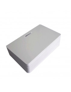 Cartes PVC blanches perfo oblongue horizontale