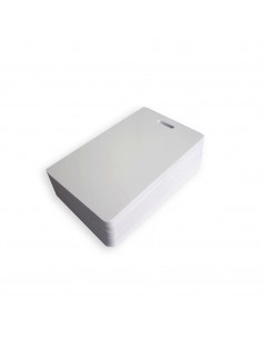 Cartes PVC blanches perfo oblongue verticale