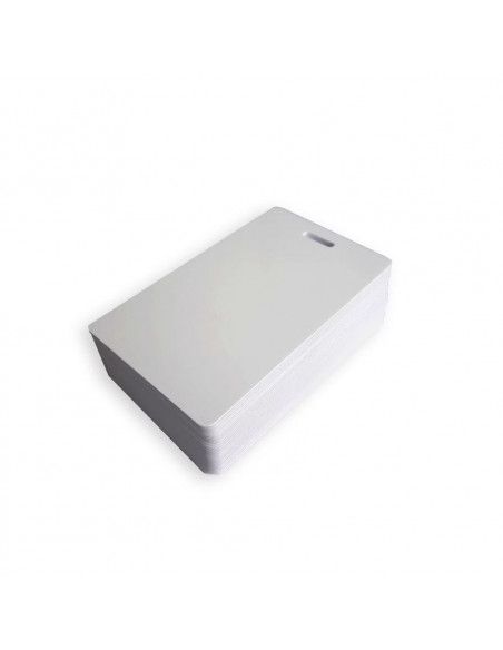 Cartes PVC blanches perfo oblongue verticale